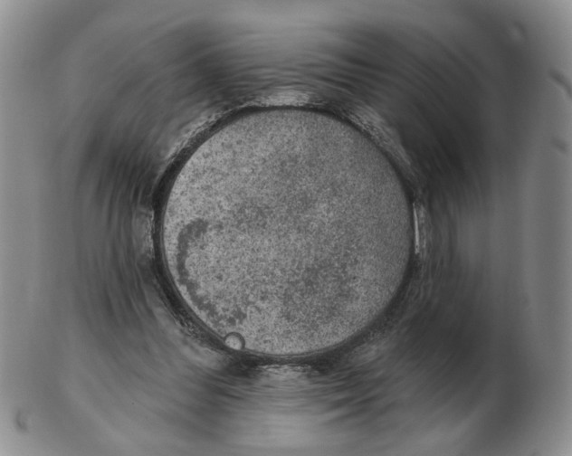 X0000102770300200809151046