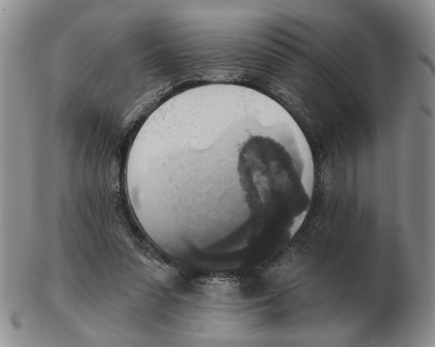 X0000102770303200809151046