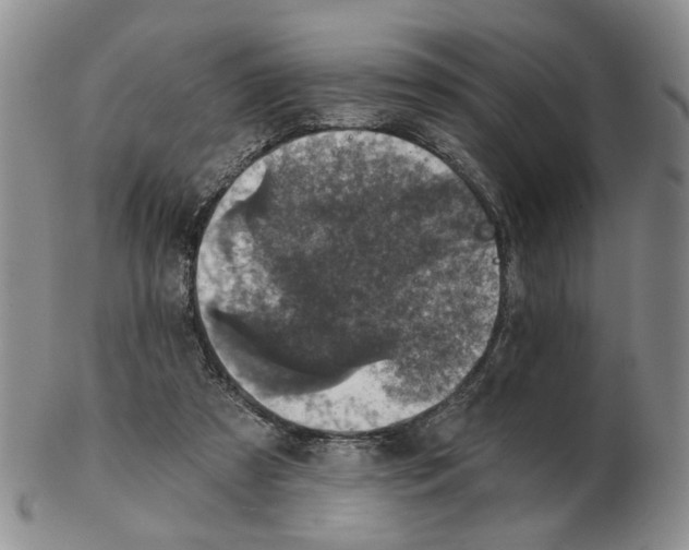 X0000102770305200809151046