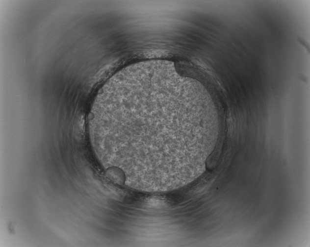 X0000102770308200809151046