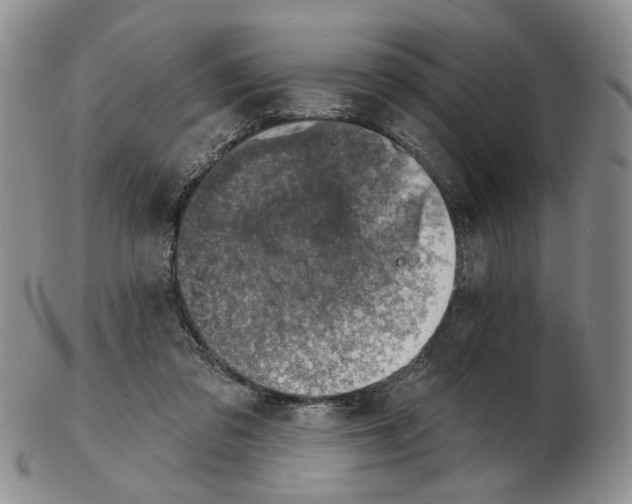 X0000102770309200809151046