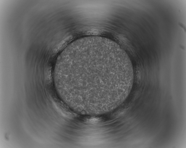 X0000102770312200809151046