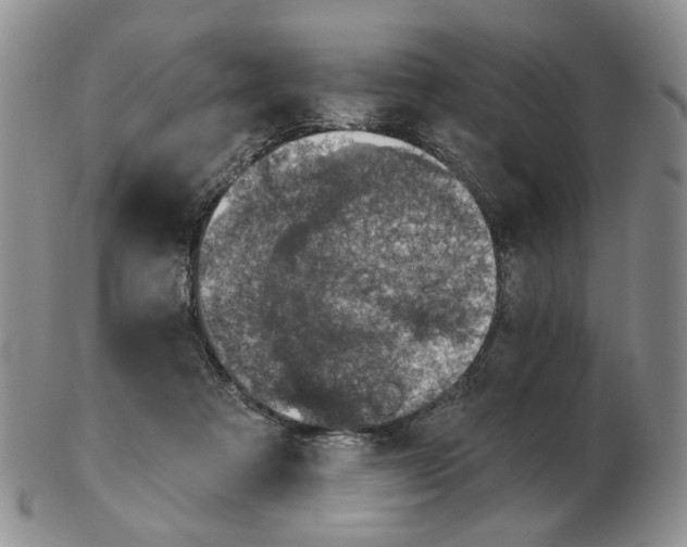 X0000102770313200809151046