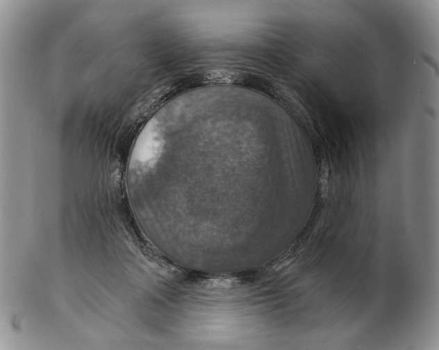 X0000102770314200809151046