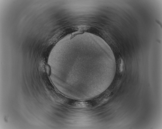 X0000102770316200809151046