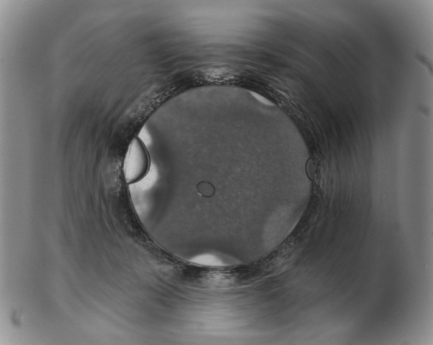 X0000102770319200809151046