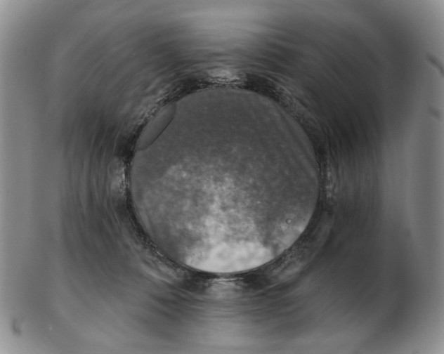 X0000102770320200809151046