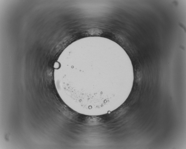 X0000102770321200809151045