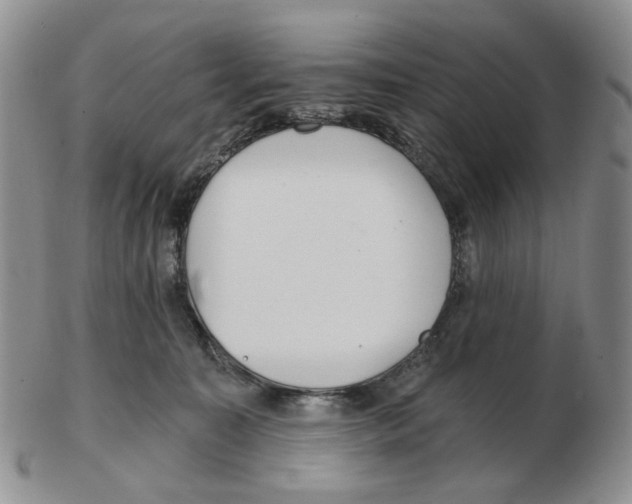 X0000102770323200809151045