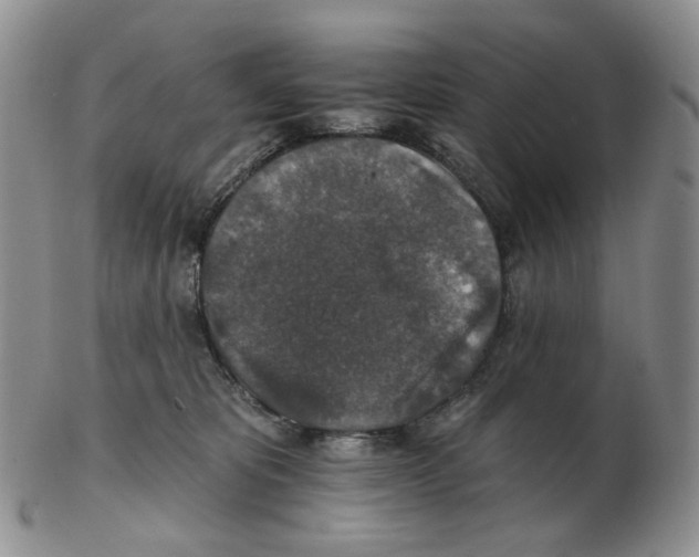 X0000102770325200809151045