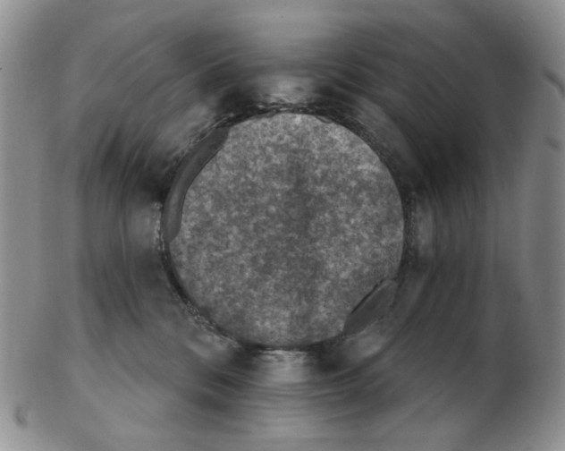 X0000102770328200809151045