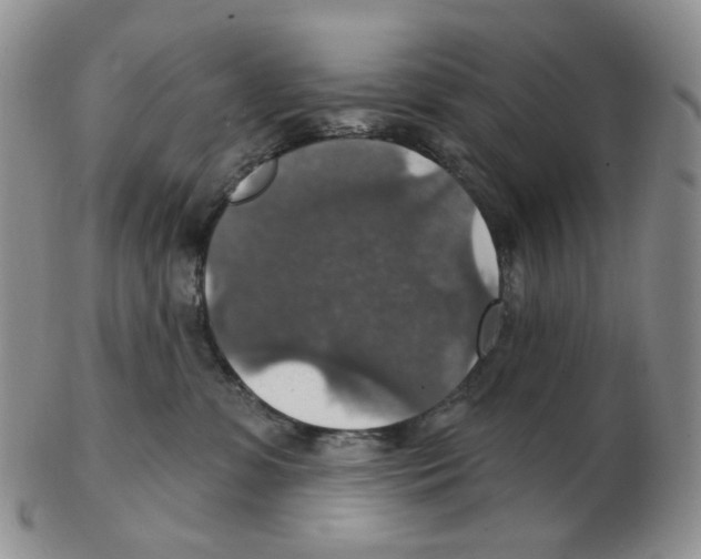 X0000102770331200809151045