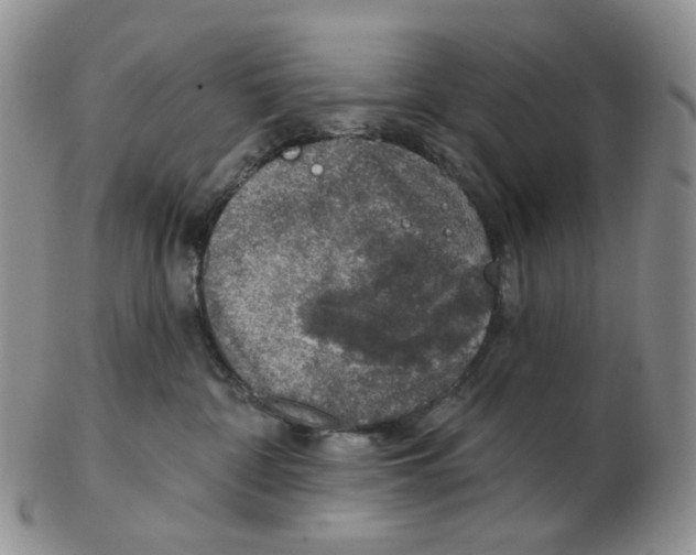 X0000102770332200809151045