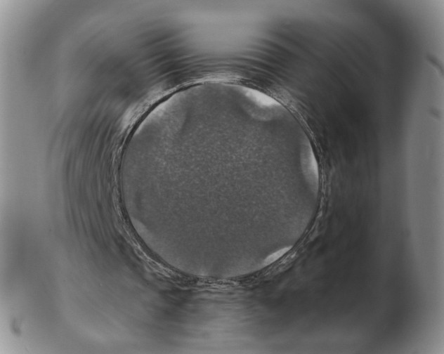 X0000102770337200809151044