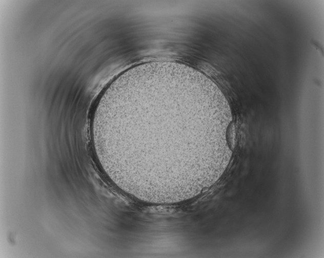 X0000102770338200809151044