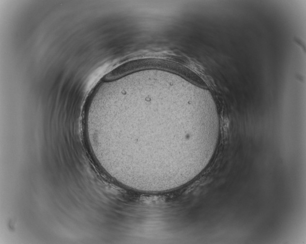 X0000102770340200809151044