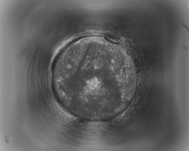 X0000102770342200809151045