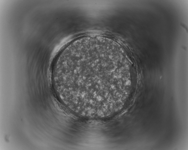 X0000102770343200809151045