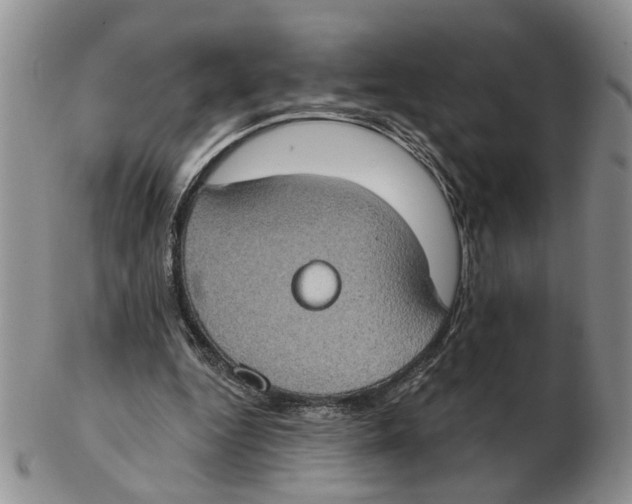 X0000102770344200809151045