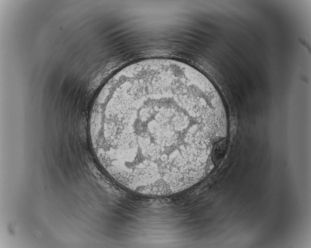 X0000102770345200809151045