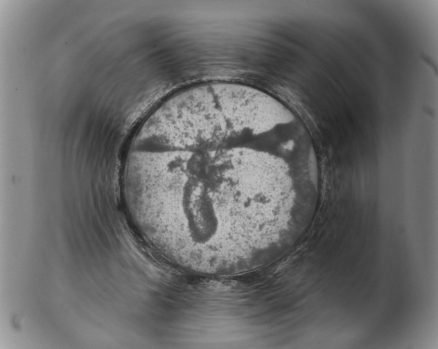 X0000102770346200809151045