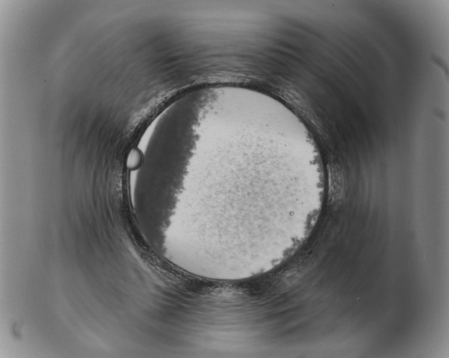 X0000102770348200809151045