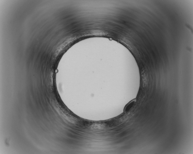 X0000102770350200809151045