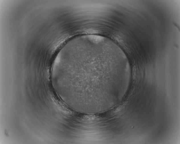 X0000102770351200809151045