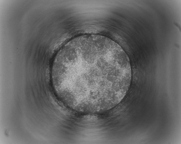 X0000102770354200809151045