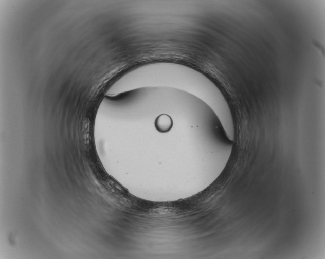 X0000102770356200809151045