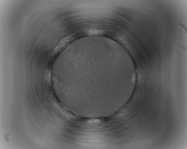 X0000102770357200809151045