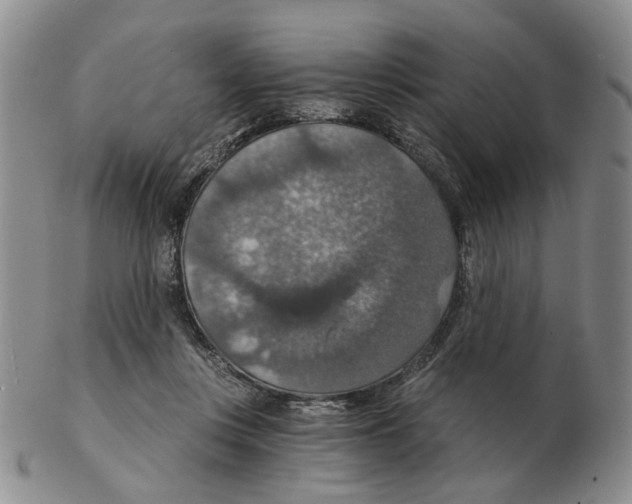 X0000102770359200809151045