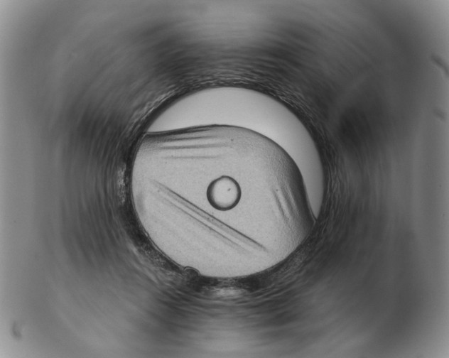 X0000102770360200809151045