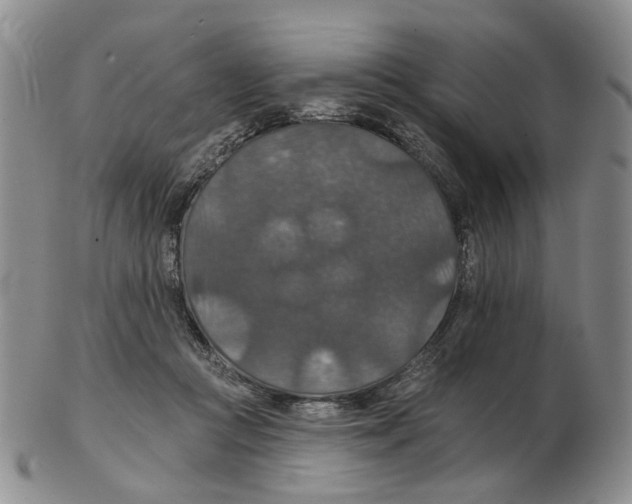 X0000102770361200809151045