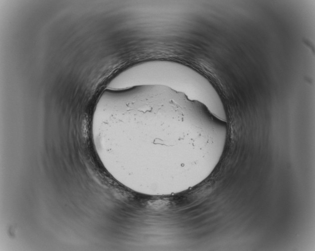 X0000102770362200809151045