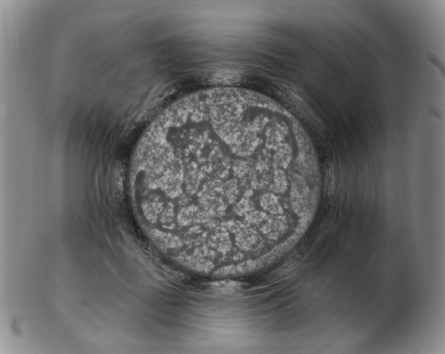 X0000102770363200809151045