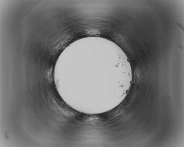 X0000102770364200809151045