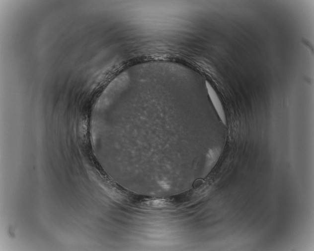 X0000102770365200809151045