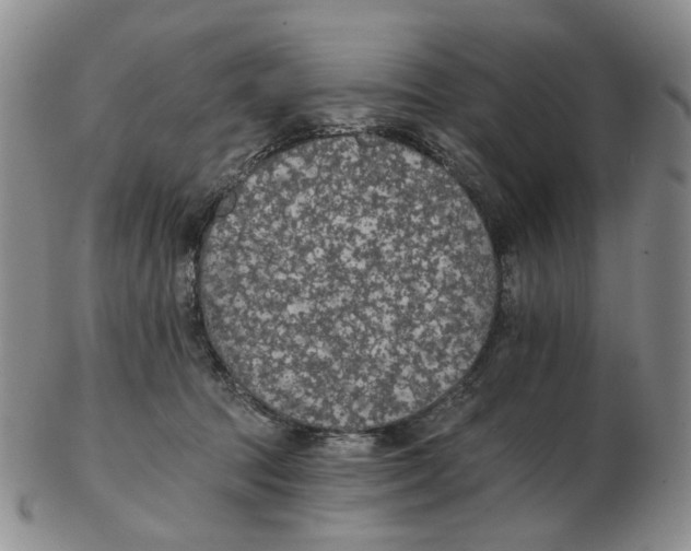 X0000102770369200809151045