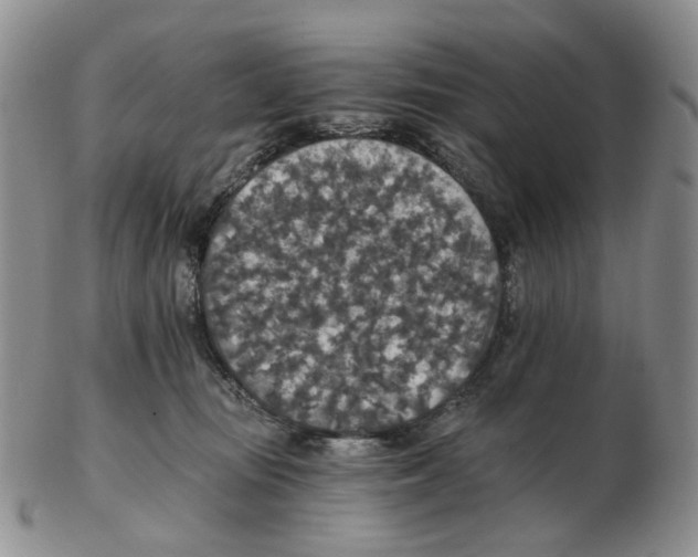 X0000102770371200809151045