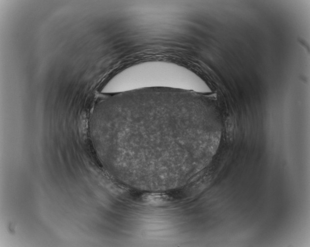 X0000102770372200809151045