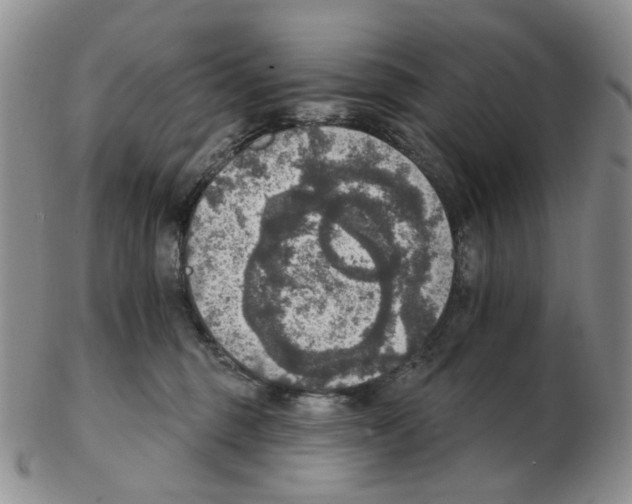 X0000102770375200809151045