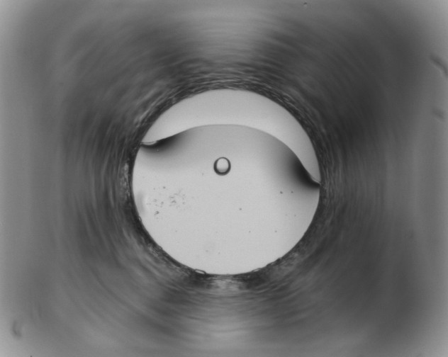 X0000102770376200809151045