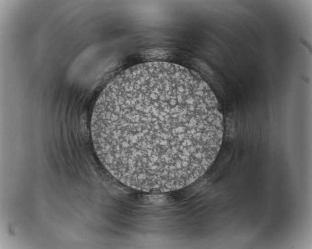 X0000102770377200809151045