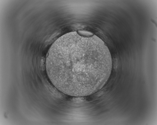 X0000102770378200809151045