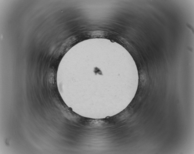 X0000102770379200809151045