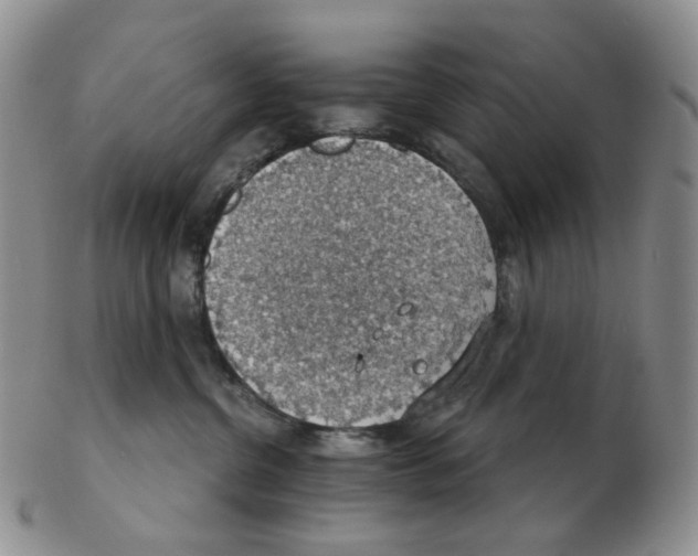 X0000102770380200809151045