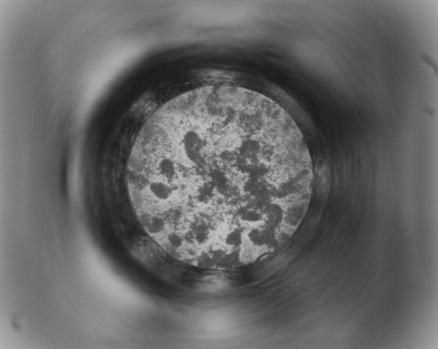 X0000102770381200809151045