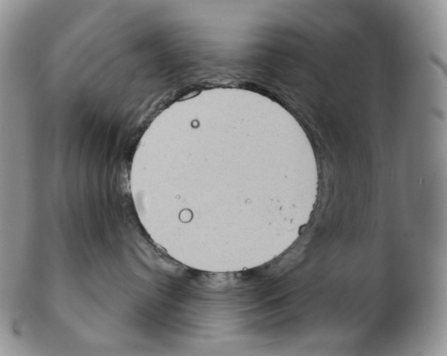 X0000102770384200809151045