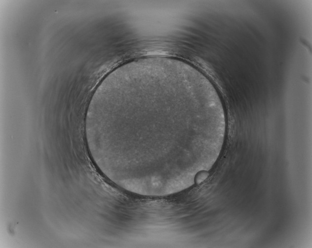 X0000102770385200809151044